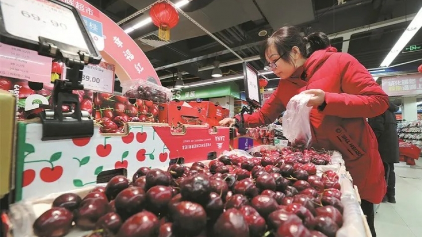 Las cerezas del Hemisferio Sur en China ya se venden a más de 50 dólares el kilo