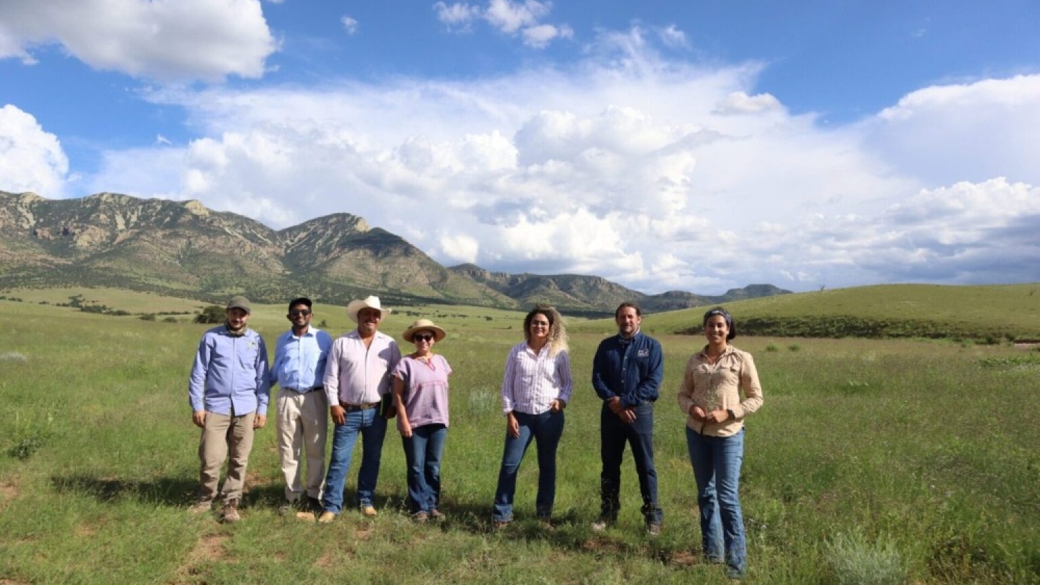 Regenerative grazing delivers real financial gains in Mexico
