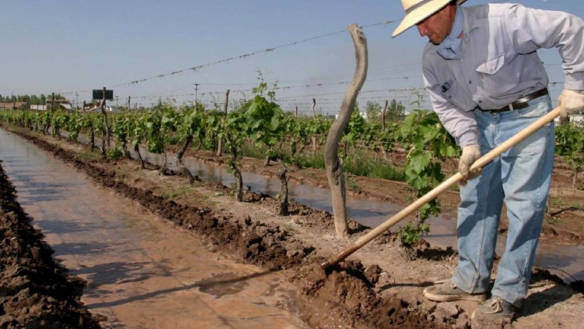 Piden a productores cargar su CBU en la web de Contingencias Climáticas para cobrar el Seguro Agrícola y el Fondo Compensador