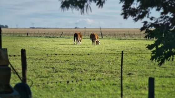 Azcuénaga, la escapada cerca de Buenos Aires con sabor a campo
