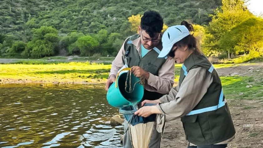 Ambiente monitoreó los ecosistemas acuáticos de tres departamentos