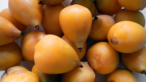 El fruto de yatay fue incorporado al Código Alimentario y podrá comercializarse en todo el país