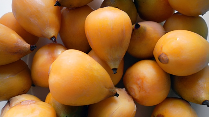 El fruto de yatay fue incorporado al Código Alimentario y podrá comercializarse en todo el país