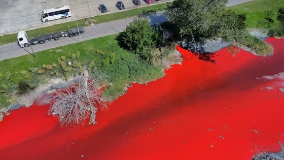 Alerta ambiental en Avellaneda: un arroyo se tiñó de rojo y preocupa la contaminación