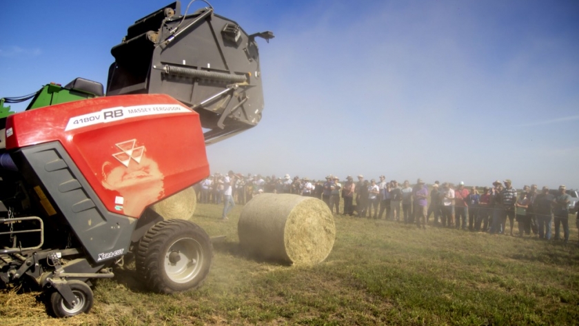 Massey Ferguson reafirma su liderazgo en ExpoAlfa 2024