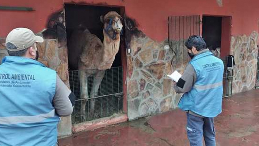 Ambiente decidió que el zoológico de Luján se mantendrá cerrado
