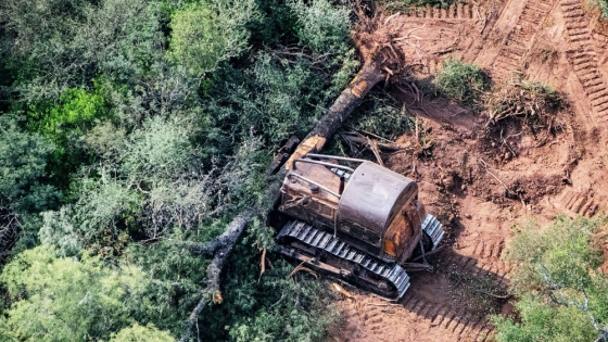 Argentina respaldó propuesta de postergación de Ley Europea contra la deforestación