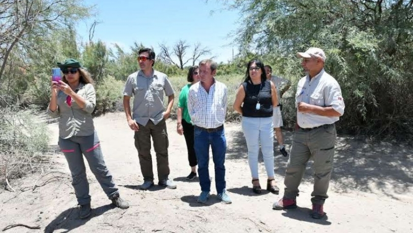 El Gobierno pone en marcha un plan de restauración ecológica en Cafayate
