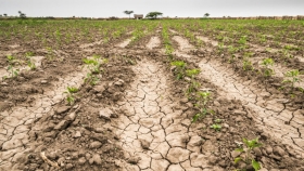 Estados Unidos anticipa el fin de La Niña: posible alivio para el agro argentino