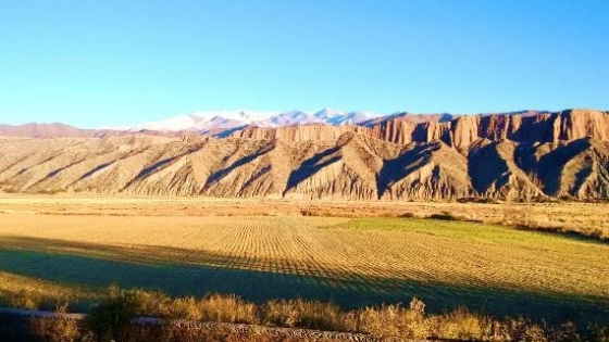 Explorando el encanto natural y cultural de Payogasta, Salta
