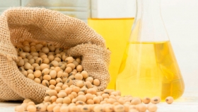 G20: Sinograin acordó comprar grano y aceite de soja argentinos