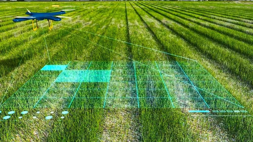 Inteligencia Artificial (IA) en la Agricultura: Impulsando Decisiones Agronómicas