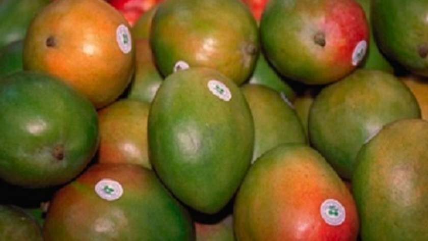 Comercialización del mango en Argentina en los últimos 5 años