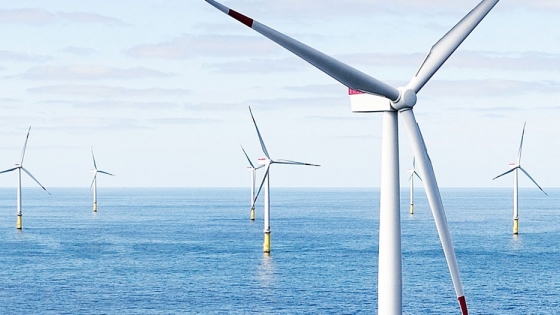 <2020 fue un año récord de inversiones en energía eólica marina, dice RCG