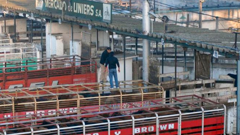 2020, el año en que el precio de la hacienda voló