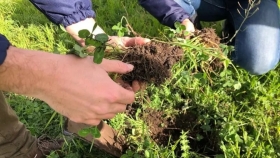 La agricultura regenerativa: un pilar para la sostenibilidad del campo argentino y global