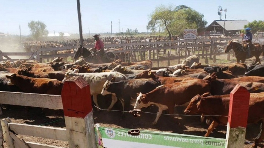 Solicitan informar con 15 días de antelación la realización de remates