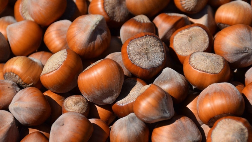El lado oscuro del cultivo italiano de avellanas