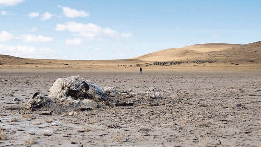 El norte de la Patagonia afronta unas de las peores sequías en 60 años