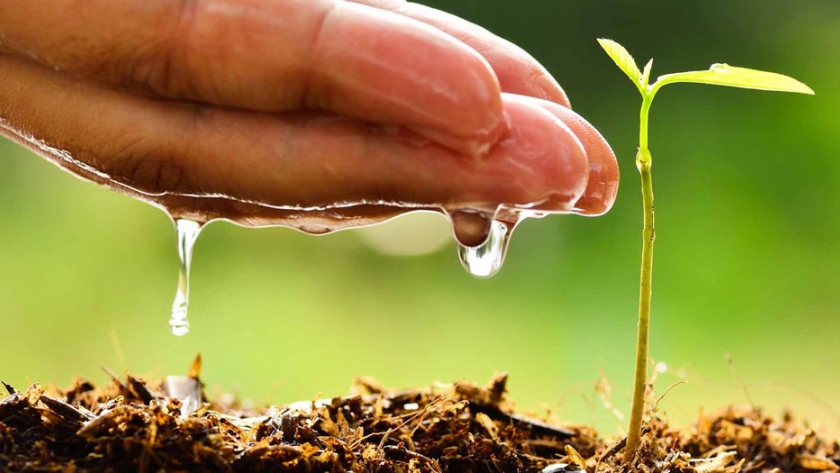 Capacitarán a concejales de distintos municipios sobre gestión político ambiental