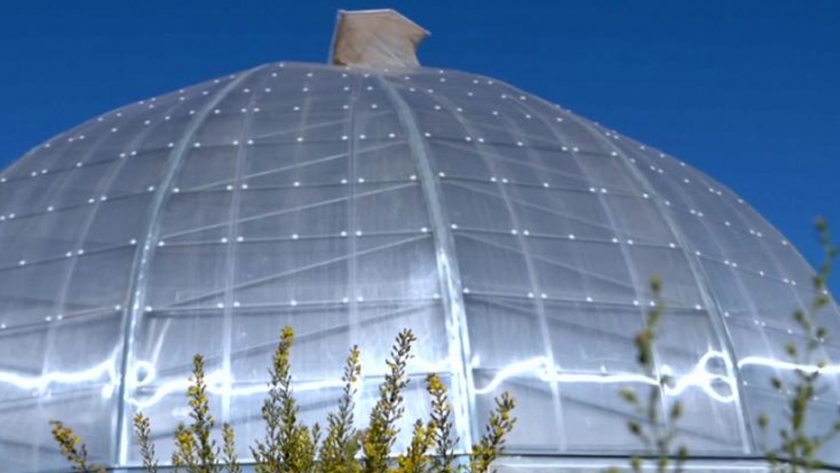 El proyecto Greendomo: llevar la agricultura local y sostenible a España 