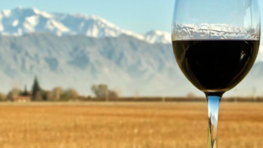 El vino argentino debe abrirse camino hacia nuevas formas de consumo
