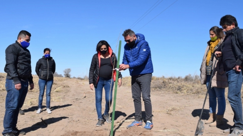 El Plan Forestal ya plantó 2.000 árboles en suelo puntano