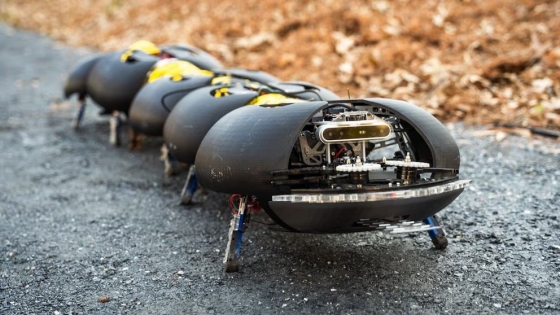 Robots insectoides prometen revolucionar la agricultura con soluciones sostenibles y automatizadas