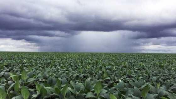 Las lluvias expusieron las deudas estructurales del campo en Chacabuco