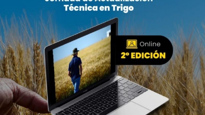 Se realiza mañana la 2° edición de la JAT de Trigo de DONMARIO