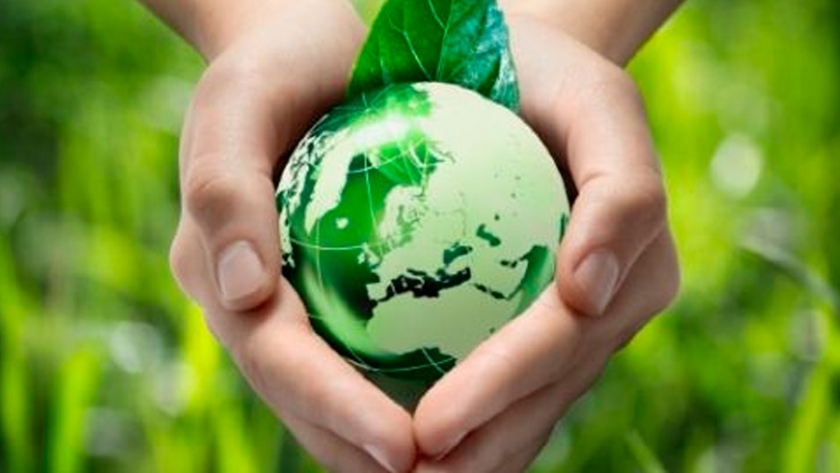 Alimentos: nuevo polímero biodegradable para elaboración de bolsas