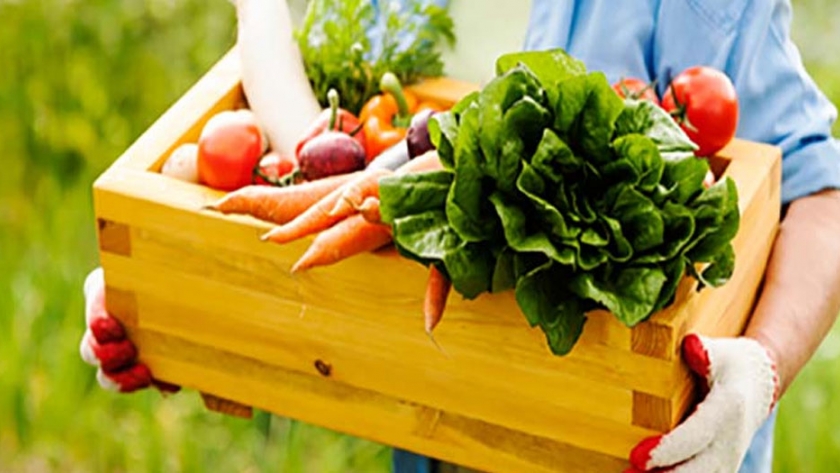 Capacitación en intersiembra en cultivos hortícolas de hoja