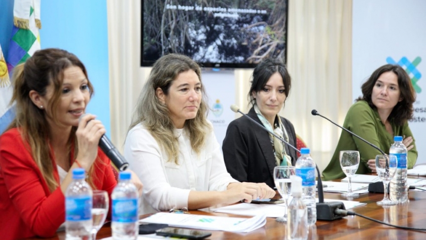 Nación fortalece con Chaco la implementación de políticas públicas vinculadas a humedales