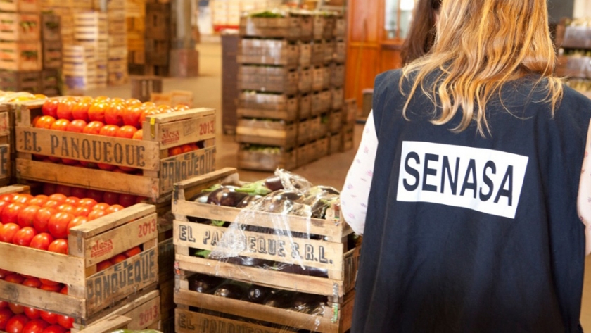 Resguardo de la salud de los consumidores de frutas y hortalizas en La Pampa