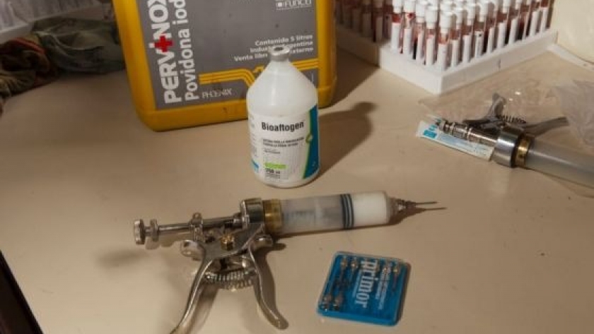 Apuestan por innovación en diagnósticos de fiebre aftosa