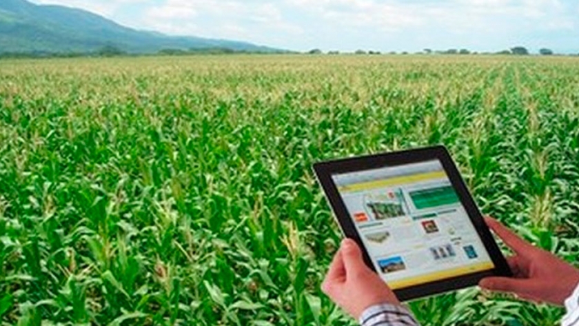 Crece la financiación del agro a través de soluciones digitales