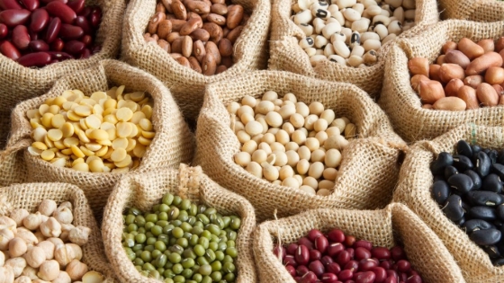 Impulsan una campaña nacional para sumar legumbres a la alimentación diaria de los argentinos