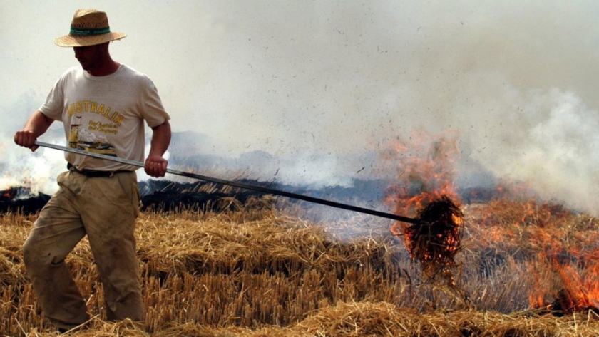 Se reunió nuevamente el Comité de Emergencia Ambiental por los incendios en el delta del Paraná
