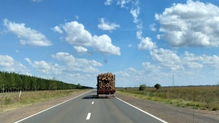 La cadena forestal asegura que si le aplican retenciones del 15% se perderían miles de puestos de trabajo, en especial los dedicados a la exportación de rollizos