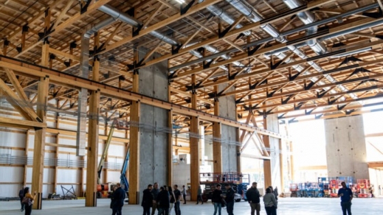 La construcción con madera gana terreno a nivel global y abre oportunidades para la industria argentina