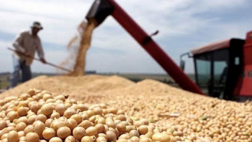 Usda aumentó las cosechas de soja y maíz de EEUU