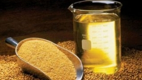 Estiman que habrá exportaciones récord de harina y aceite de soja por 20.000 mill. de dólares