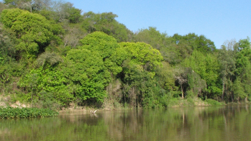 Delta del Paraná: el Ministerio de Ambiente oficializó la creación de la Red de Faros de Conservación