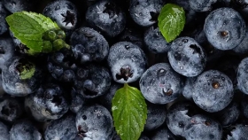 Brasil reconoce zonas libres de Lobesia botrana y facilita exportación de frutas frescas argentinas
