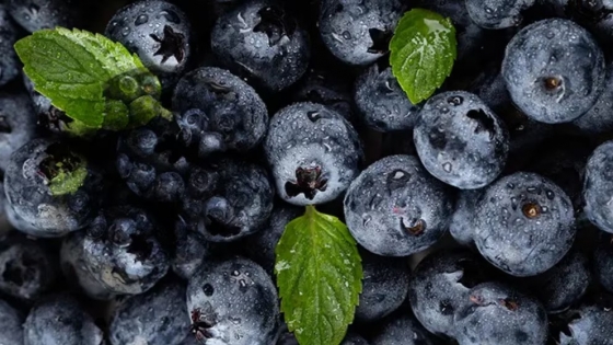 Brasil reconoce zonas libres de Lobesia botrana y facilita exportación de frutas frescas argentinas