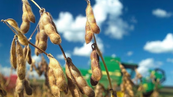 El futuro del agro argentino pasa por la agrobioindustria y la innovación
