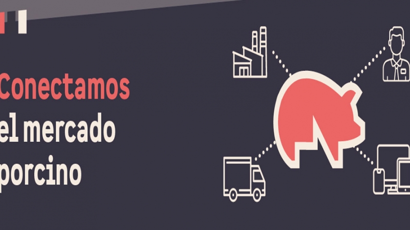 Se viene Rosporc, el mercado digital porcino