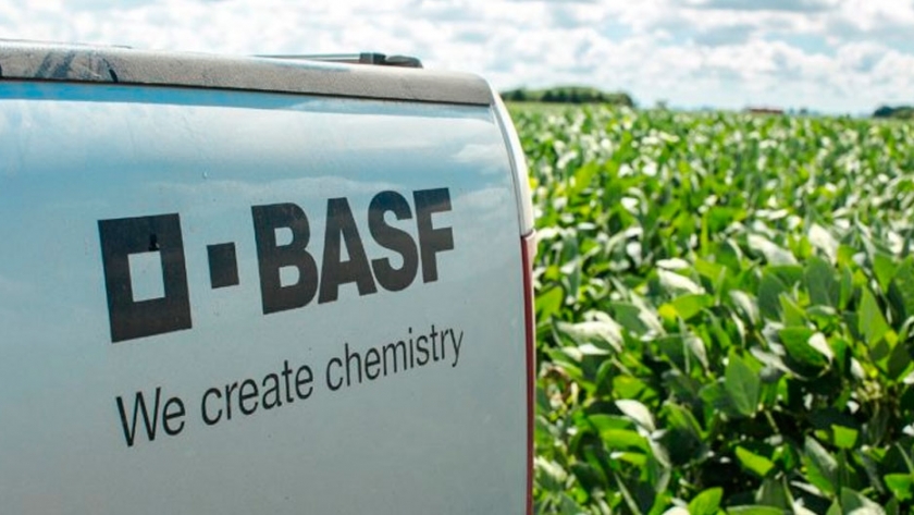 BASF espera lanzar 20 nuevos productos en los próximos tres años