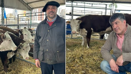 Un viaje de 3000 kilómetros: la odisea de las cabañas fueguinas para llegar al centenario de Hereford