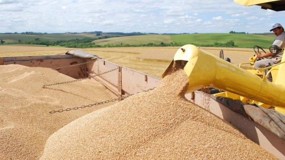 Brasil acelera la compra de trigo y fortalece su vínculo comercial con Argentina